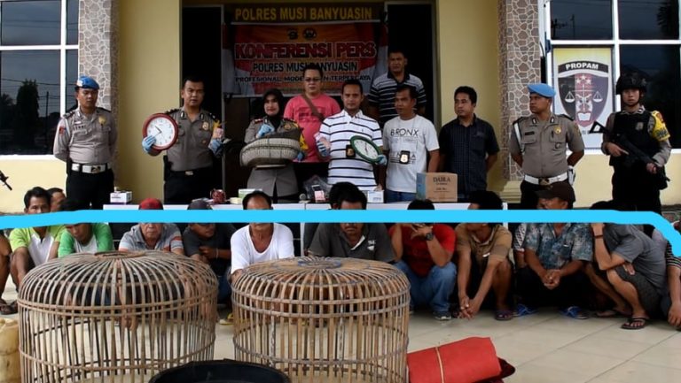 WhatsApp Image 2019-02-05 at 18.40.31