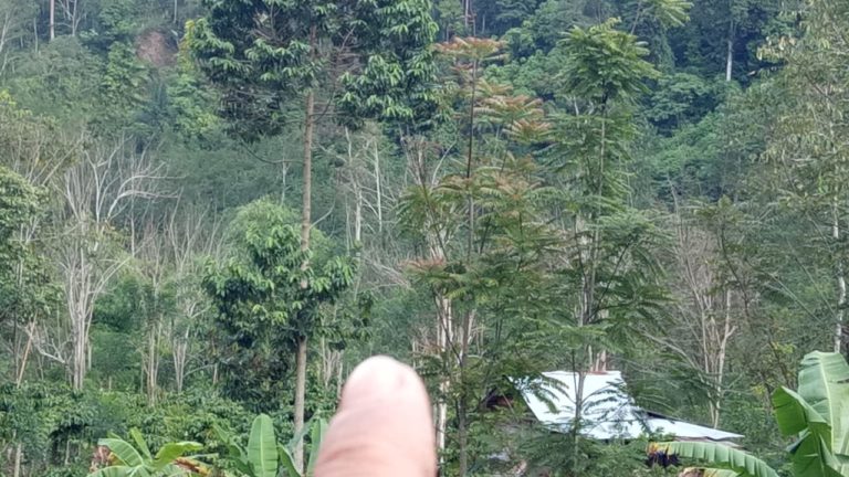 WhatsApp Image 2019-02-11 at 10.48.01