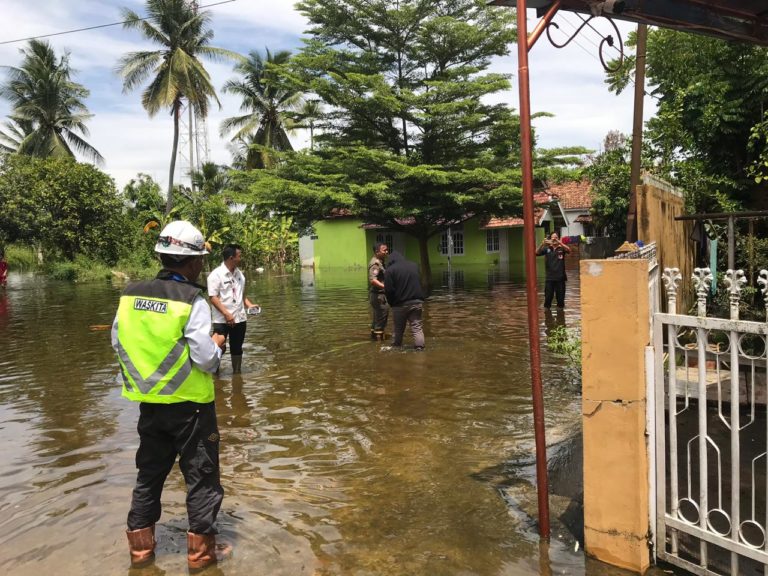 WhatsApp Image 2019-02-20 at 18.20.58