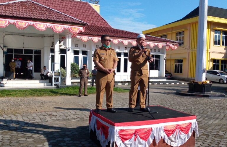 WhatsApp Image 2021-03-01 at 00.52.44