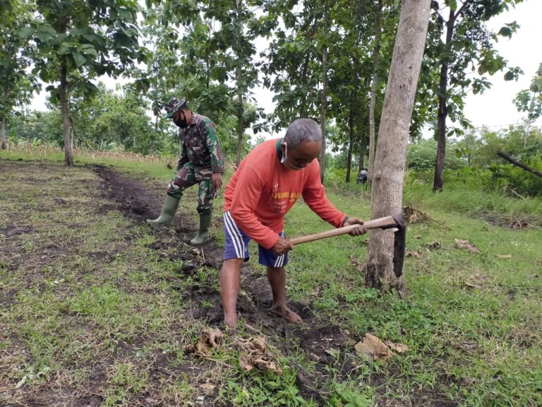 WhatsApp Image 2021-03-01 at 08.21.54