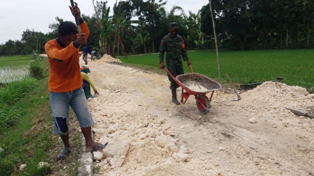 WhatsApp Image 2021-03-01 at 08.29.35