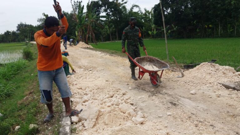 WhatsApp Image 2021-03-01 at 08.29.35