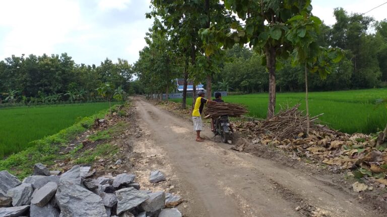 WhatsApp Image 2021-03-01 at 08.30.32