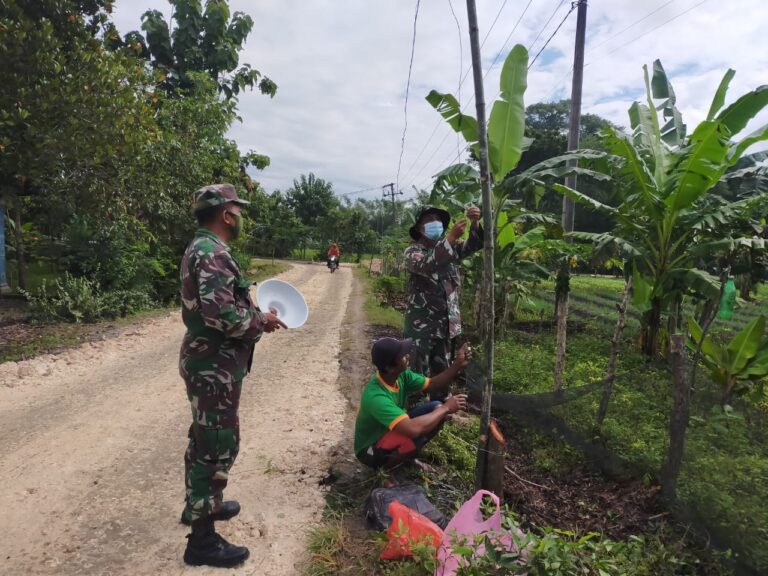 WhatsApp Image 2021-03-01 at 08.54.14