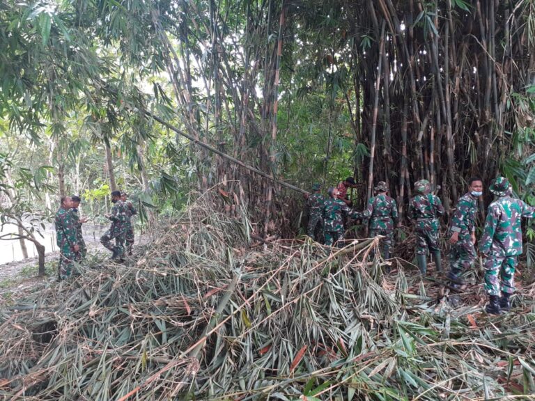 WhatsApp Image 2021-03-01 at 08.58.12