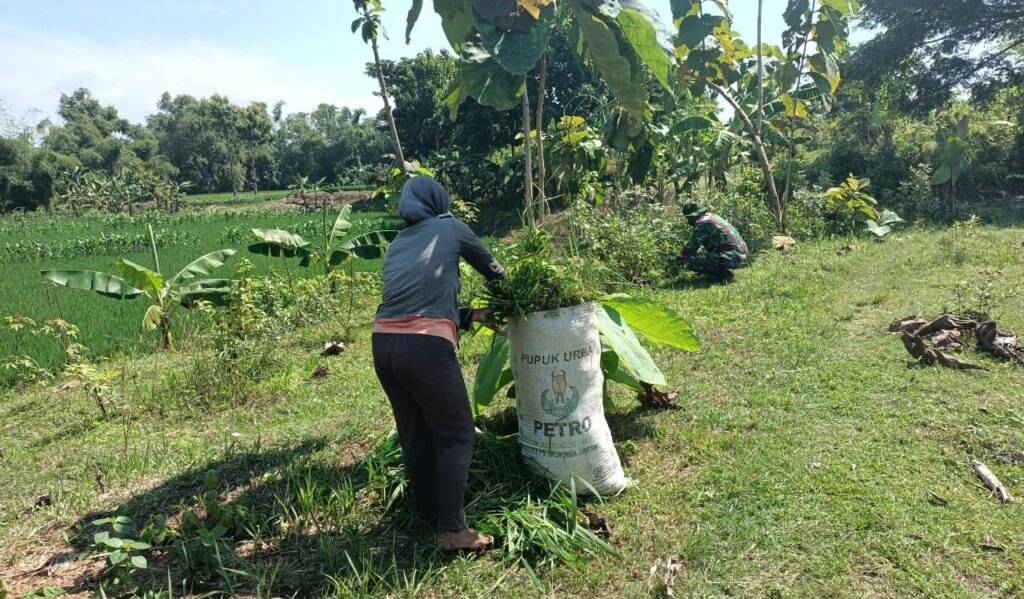 WhatsApp Image 2021-03-01 at 09.04.12