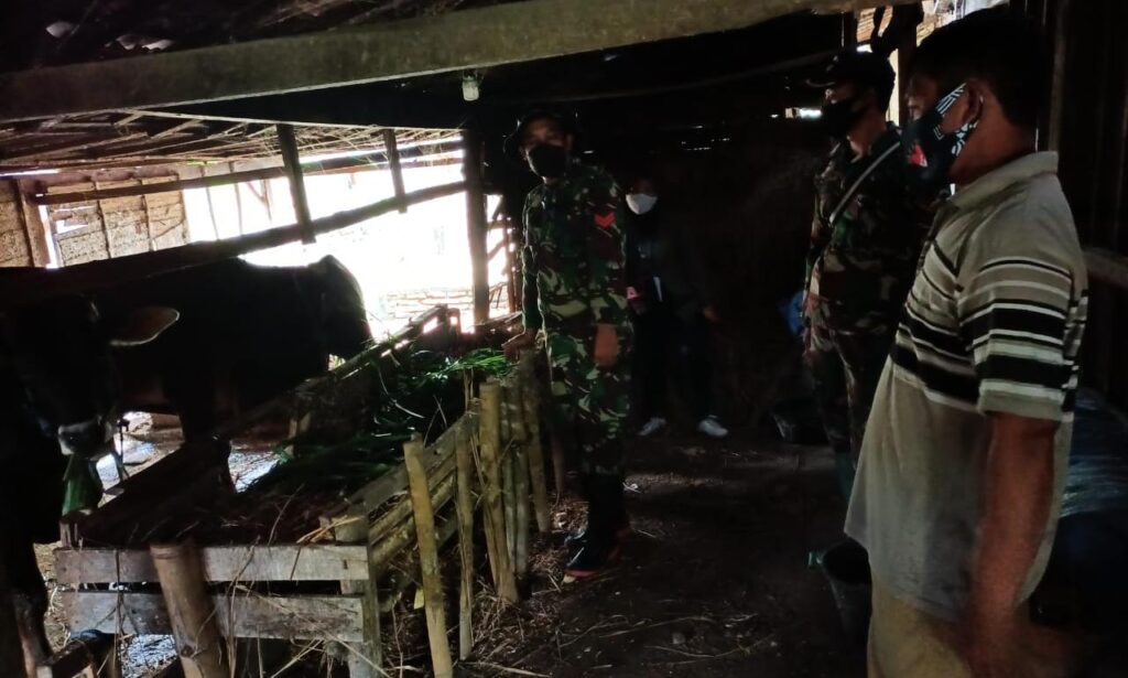 WhatsApp Image 2021-03-01 at 09.10.30