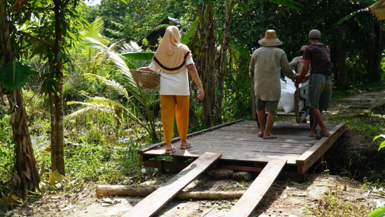 WhatsApp Image 2021-03-01 at 20.46.04