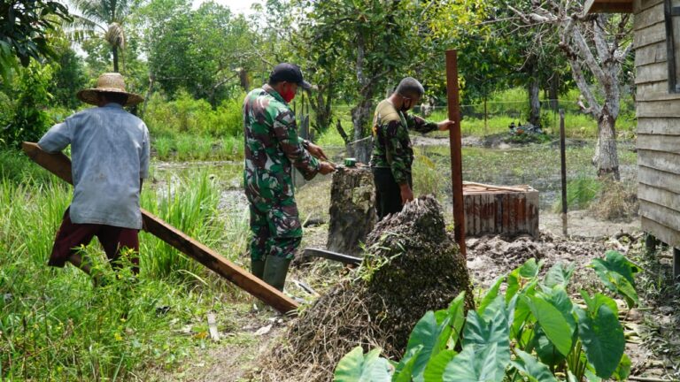 WhatsApp Image 2021-03-01 at 20.47.40