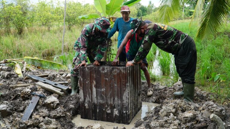 WhatsApp Image 2021-03-01 at 20.47.47