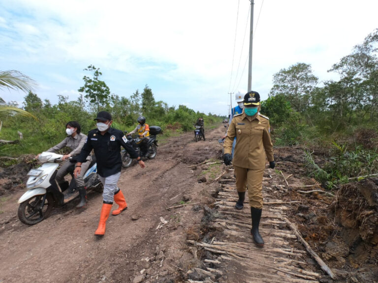 WhatsApp Image 2021-03-02 at 02.48.34