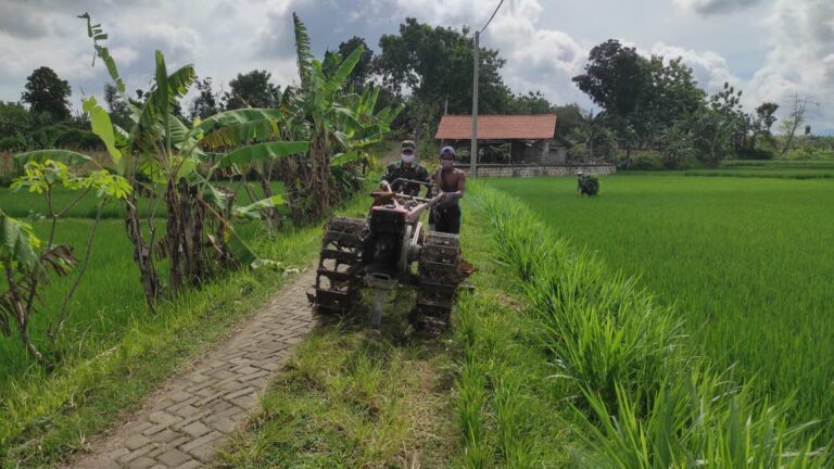 WhatsApp Image 2021-03-02 at 08.47.21