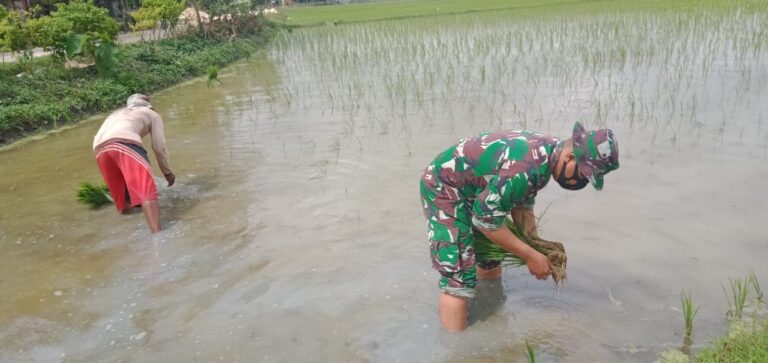 WhatsApp Image 2021-03-02 at 08.48.22