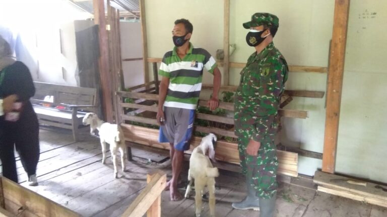 WhatsApp Image 2021-03-02 at 09.31.52