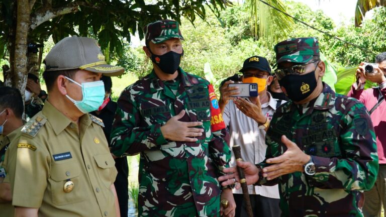 WhatsApp Image 2021-03-02 at 19.42.20