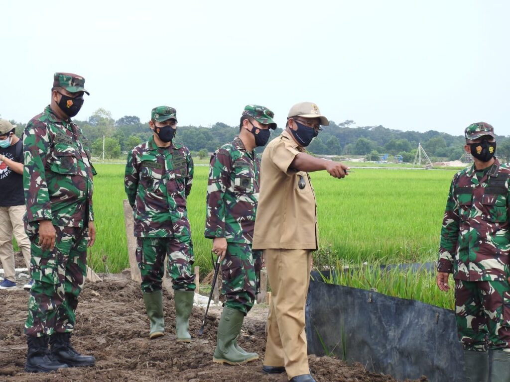 WhatsApp Image 2021-03-02 at 20.53.22