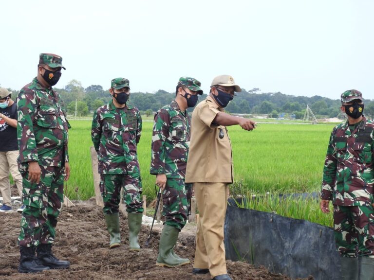 WhatsApp Image 2021-03-02 at 20.53.22