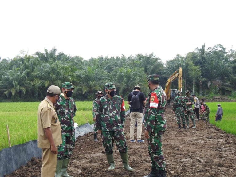 WhatsApp Image 2021-03-02 at 21.04.51