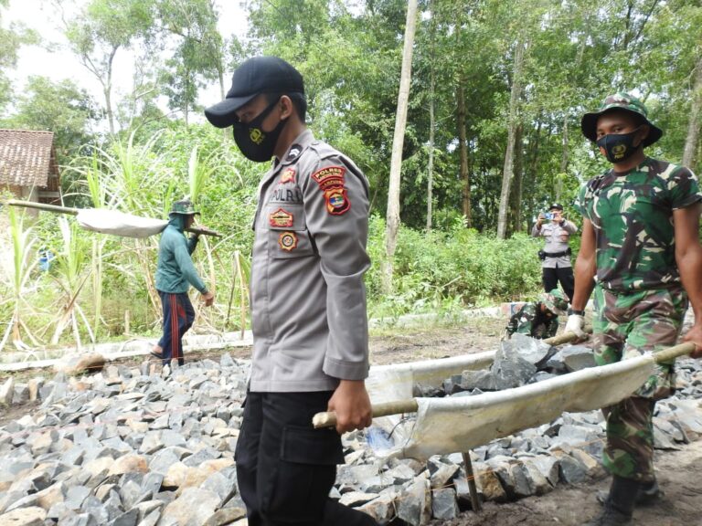 WhatsApp Image 2021-03-02 at 22.55.33