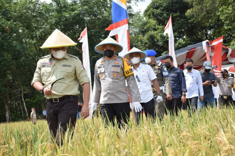 WhatsApp Image 2021-03-03 at 00.15.17(1)