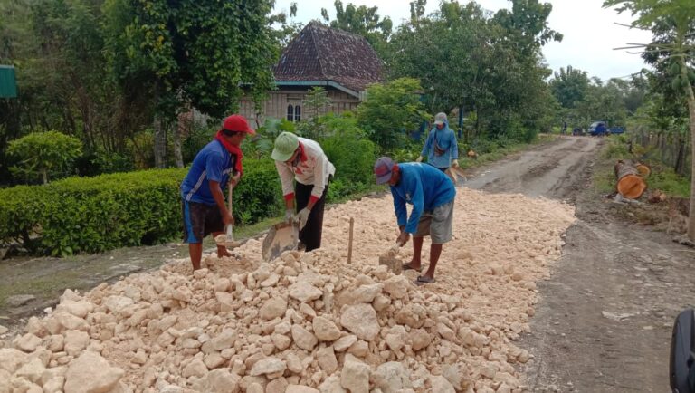 WhatsApp Image 2021-03-03 at 10.07.54