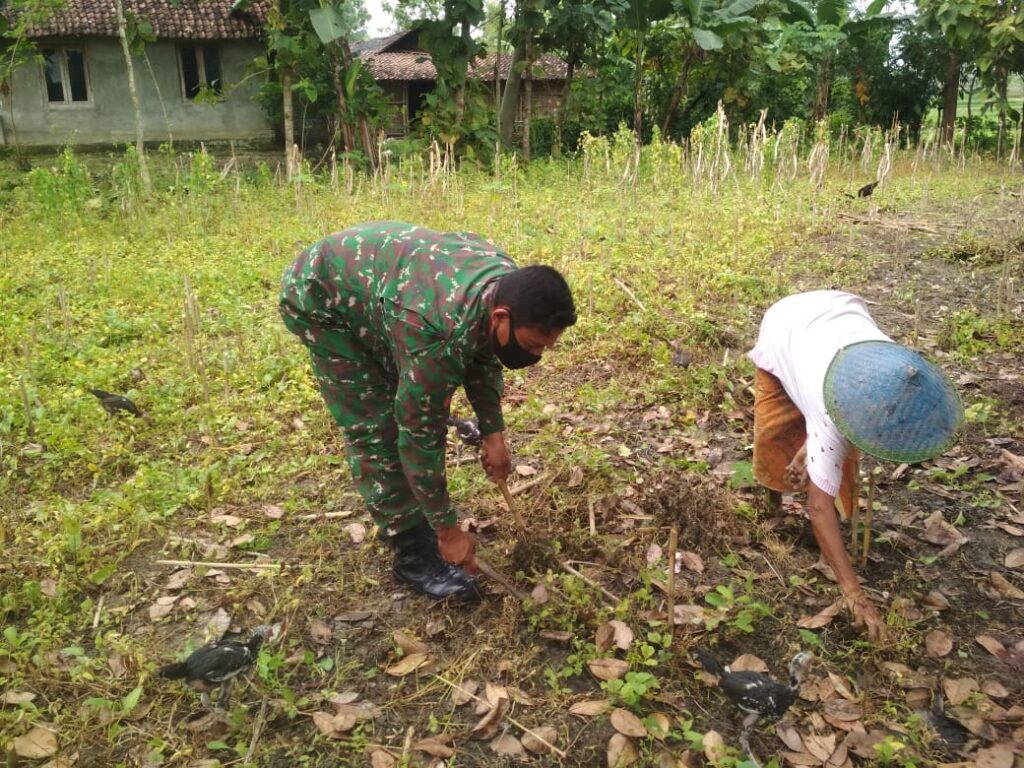 WhatsApp Image 2021-03-03 at 10.12.41