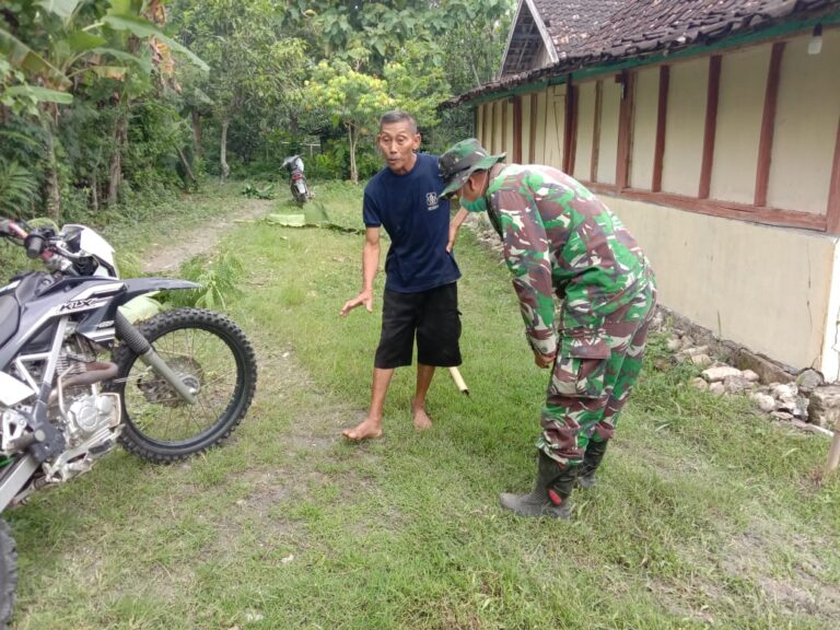 WhatsApp Image 2021-03-03 at 10.25.33