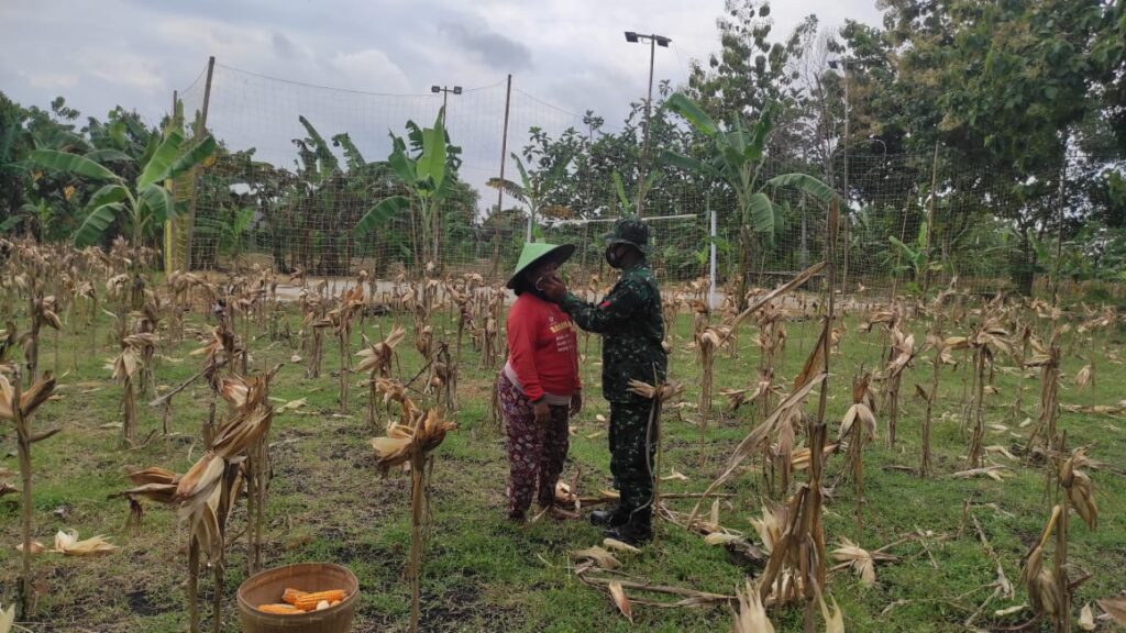 WhatsApp Image 2021-03-03 at 10.32.34