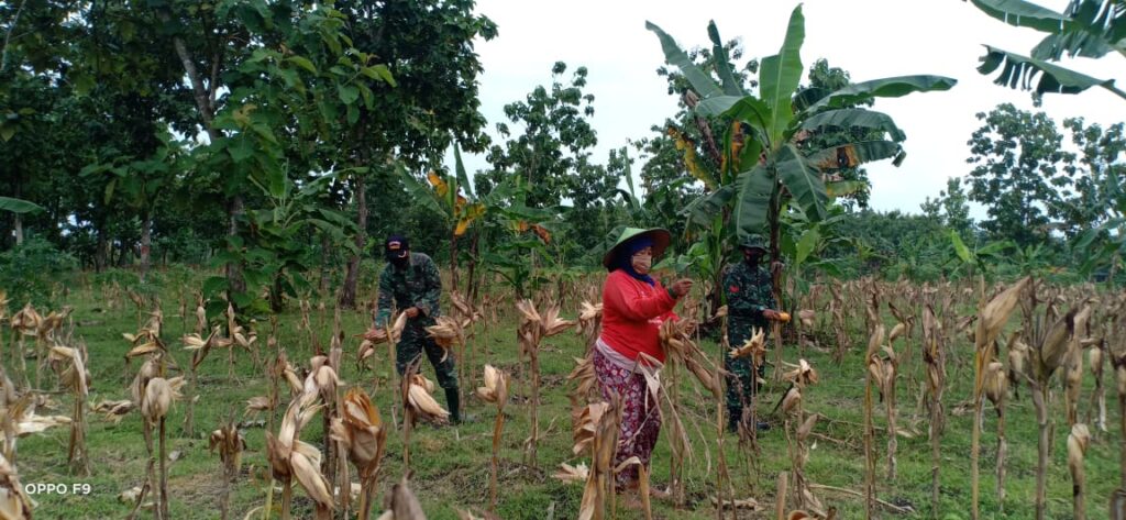 WhatsApp Image 2021-03-03 at 10.33.07