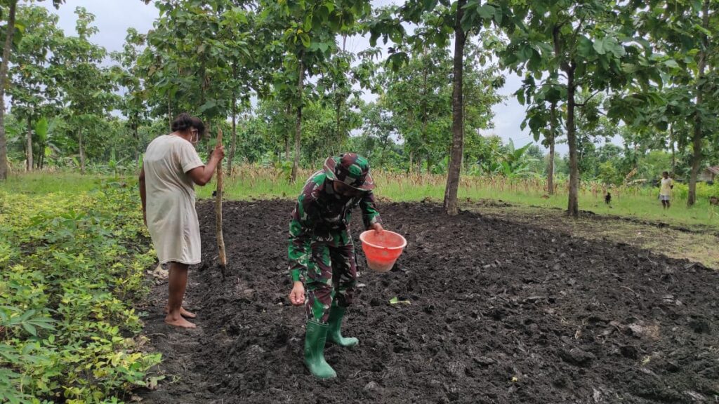 WhatsApp Image 2021-03-03 at 10.34.14