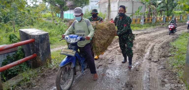 WhatsApp Image 2021-03-03 at 10.44.42