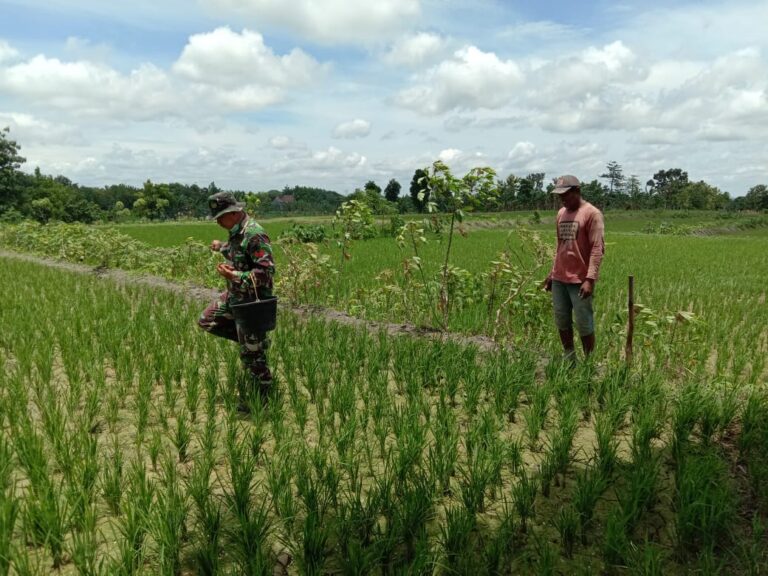 WhatsApp Image 2021-03-03 at 10.48.59