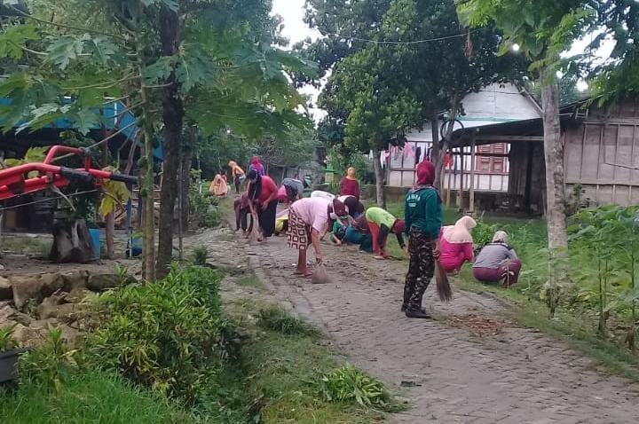 WhatsApp Image 2021-03-03 at 10.56.10