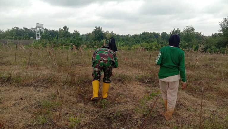 WhatsApp Image 2021-03-03 at 10.57.12