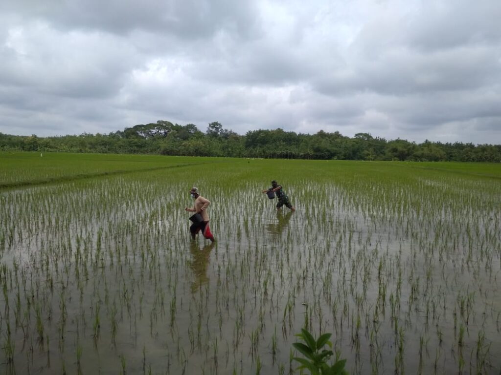 WhatsApp Image 2021-03-03 at 11.00.20