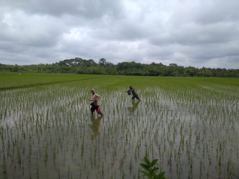 WhatsApp Image 2021-03-03 at 11.00.20