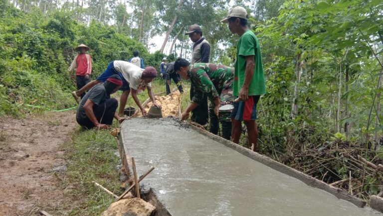 WhatsApp Image 2021-03-03 at 13.45.03