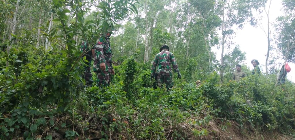 WhatsApp Image 2021-03-03 at 15.45.10