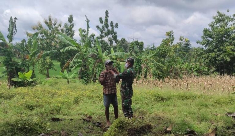 WhatsApp Image 2021-03-04 at 08.28.11