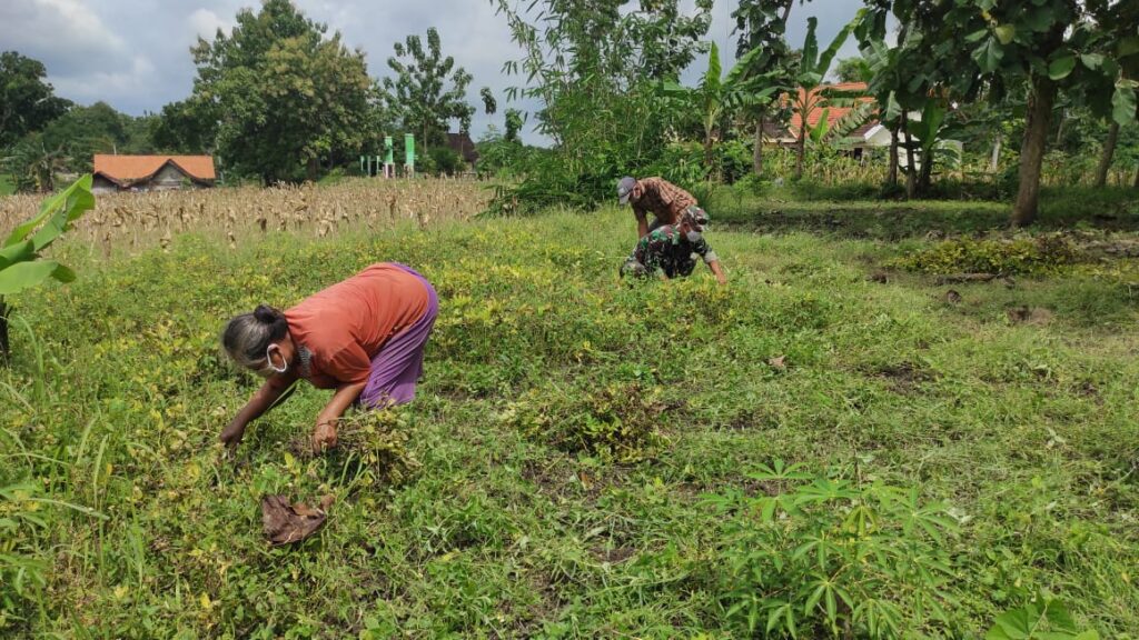 WhatsApp Image 2021-03-04 at 08.30.58