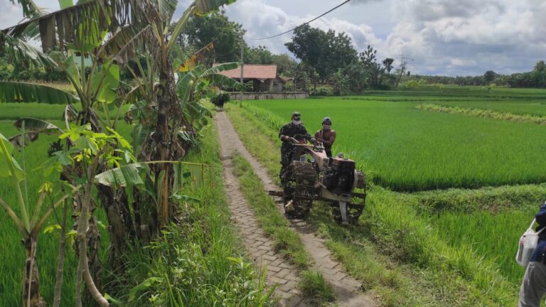 WhatsApp Image 2021-03-04 at 08.31.21(1)