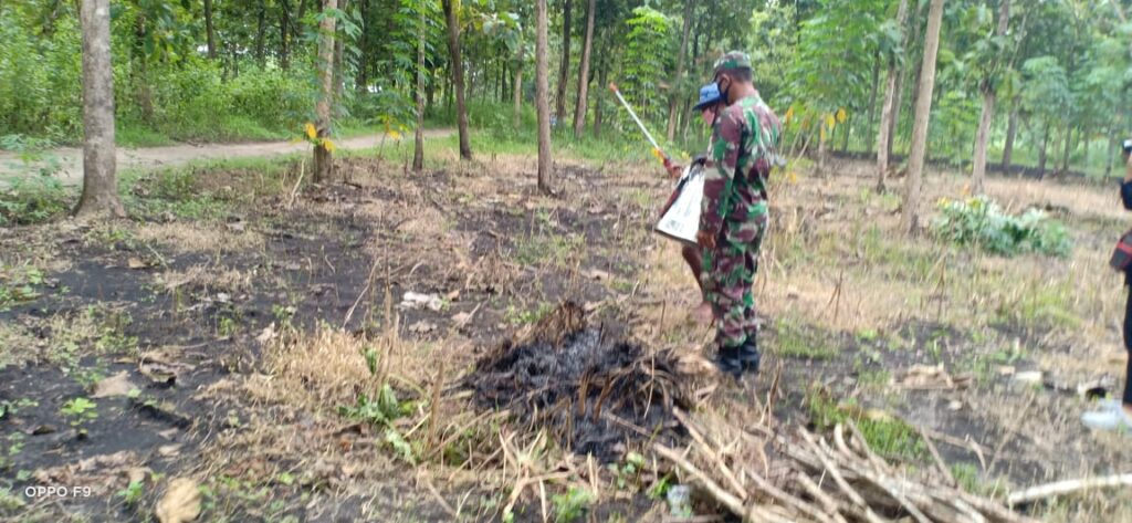 WhatsApp Image 2021-03-04 at 08.35.28