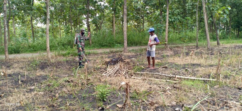 WhatsApp Image 2021-03-04 at 08.42.10