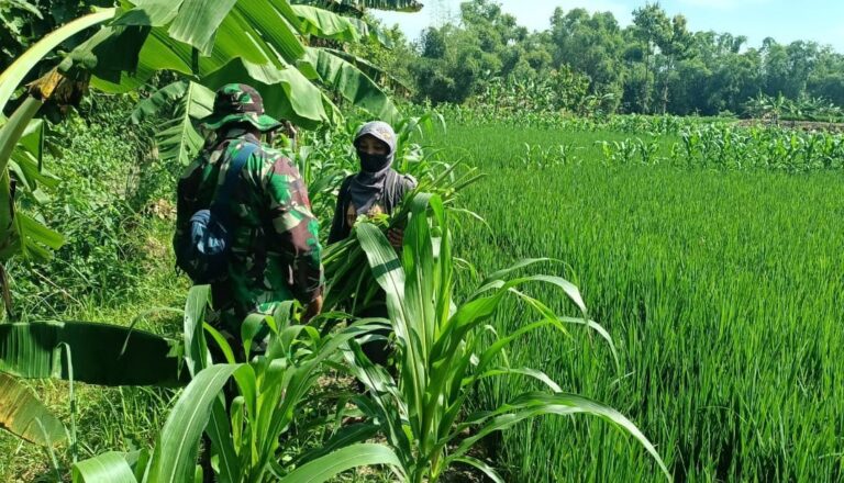 WhatsApp Image 2021-03-04 at 08.45.17