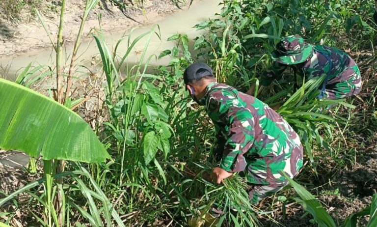 WhatsApp Image 2021-03-04 at 08.45.48