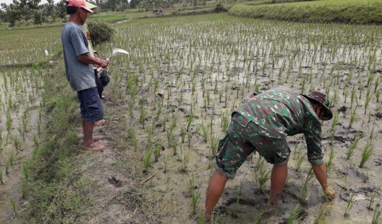 WhatsApp Image 2021-03-04 at 08.49.54