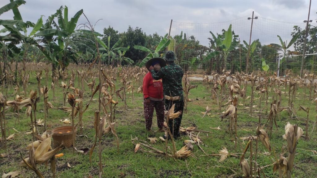 WhatsApp Image 2021-03-04 at 09.00.21