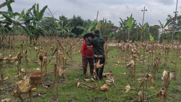 WhatsApp Image 2021-03-04 at 09.01.02