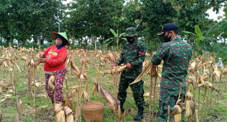 WhatsApp Image 2021-03-04 at 09.03.35